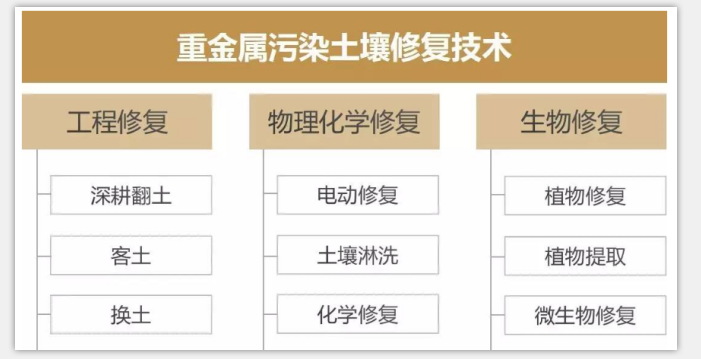 重金屬污染土修復(fù)設(shè)備一路前行為你解析土壤修復(fù)技術(shù)